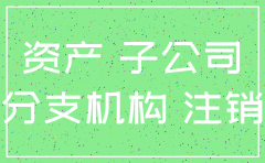 注销子公司合并层面财务处理