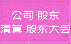 注销公司股东会决议独资