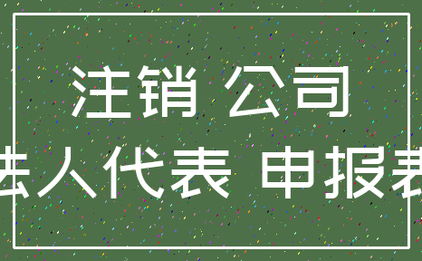 注销 公司_法人代表 申报表