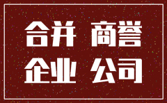 公司注销合并的商誉怎么办