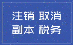 2人公司简易注销股东会决议