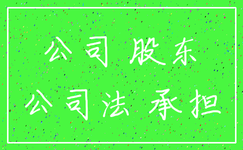 公司 股东_公司法 承担