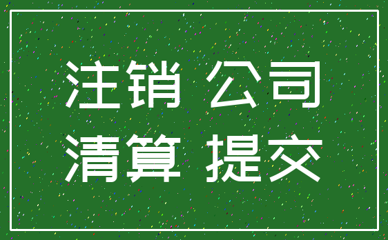 注销 公司_清算 提交