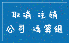 天津市公司注销登记