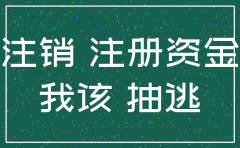 抽逃注册资本公司注销