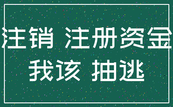 注销 注册资金_我该 抽逃