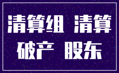 有限公司公司注销清算组成员要求