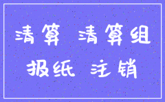 有限公司普通注销清算报告