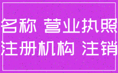 公司注销过程中办个体