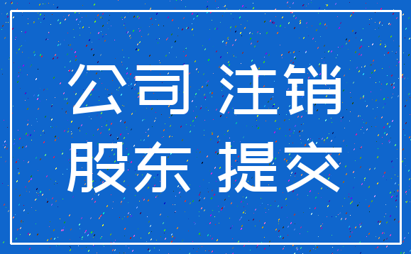 公司 注销_股东 提交