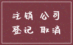 注销自然人独资公司可否用简易程序