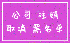 未使用过的公司注销
