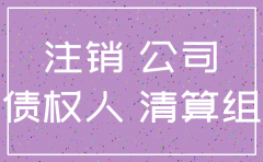 注销公司的评估目的是什么意思