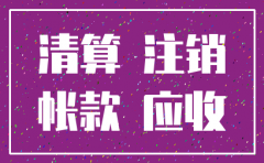 公司注销应付账款分录