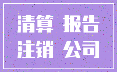 公司注销清算报告怎么填