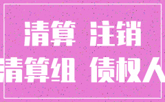 公司注销 之后债务 股东认缴