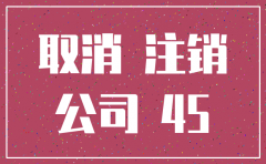 办理公司注销去哪里