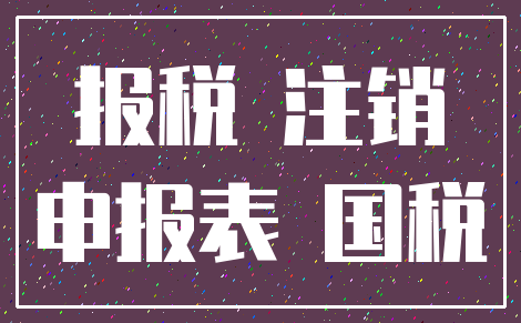 报税 注销_申报表 国税