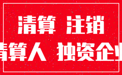 独资公司注销清算报各