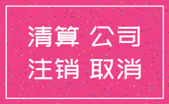 分公司注销实施方案