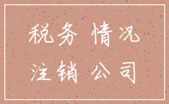公司未经营注销国税情况说明
