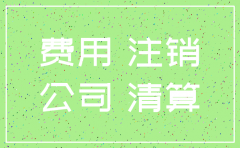 公司注销公告费用计入什么科目