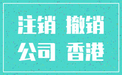 香港分公司注销投资款