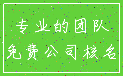 专业的团队_免费公司核名