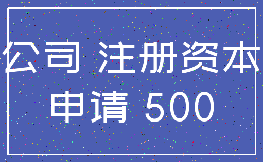公司 注册资本_申请 500