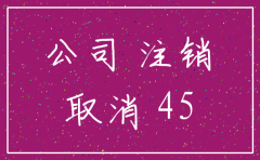 代理公司注销费