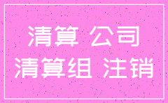 注销公司自查补税说明