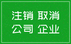公司简易注销提交的资料