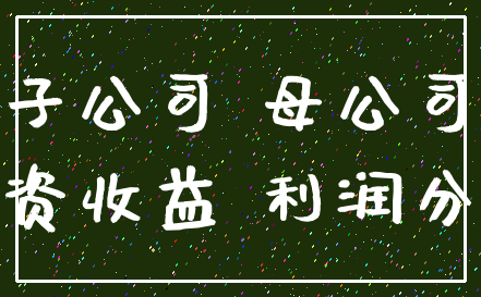 子公司 母公司_投资收益 利润分配