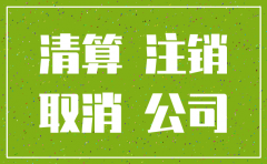公司注销无实缴声明怎么写