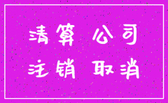 分公司地税简易注销流程