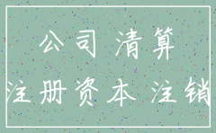 公司无注册资金要注销