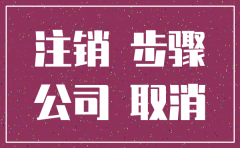 重庆南岸区注销公司程序