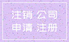 浙江省公司简易注销如何申请