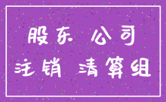 私营有限公司注销决议书范文