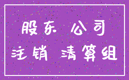 股东 公司_注销 清算组