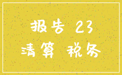 注销亏损公司审计建议