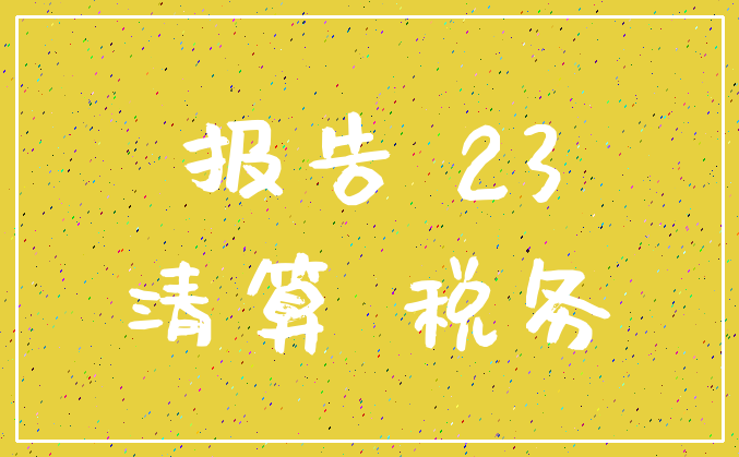 报告 23_清算 税务