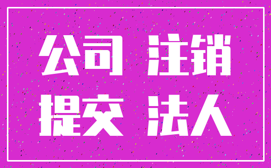 公司 注销_提交 法人