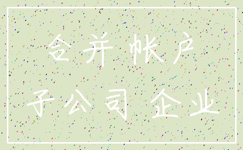 合并 帐户_子公司 企业