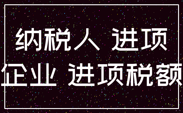纳税人 进项_企业 进项税额