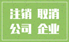 厦门公司税务注销程序