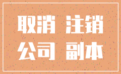 没开税的公司注销