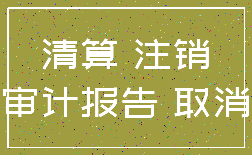 清算 注销_审计报告 取消