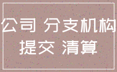 关于注销分公司的文件