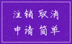 有限公司在网上简易注销